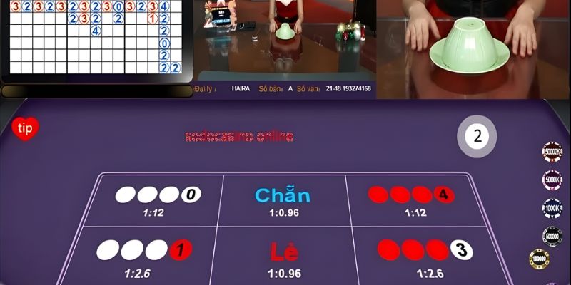 Tìm hiểu về cách chơi xóc đĩa cơ bản cho người mới